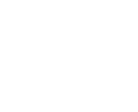 Logo Orion di Izzo Rappresentanze